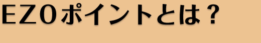 EZOポイントとは