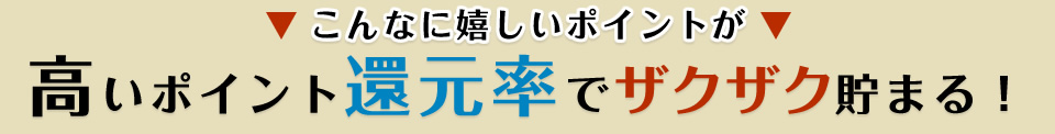 高いポイント還元率でザクザクたまる